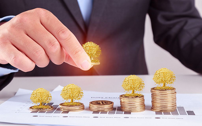 融资性担保管理系统.jpg 融资性担保管理系统.jpg